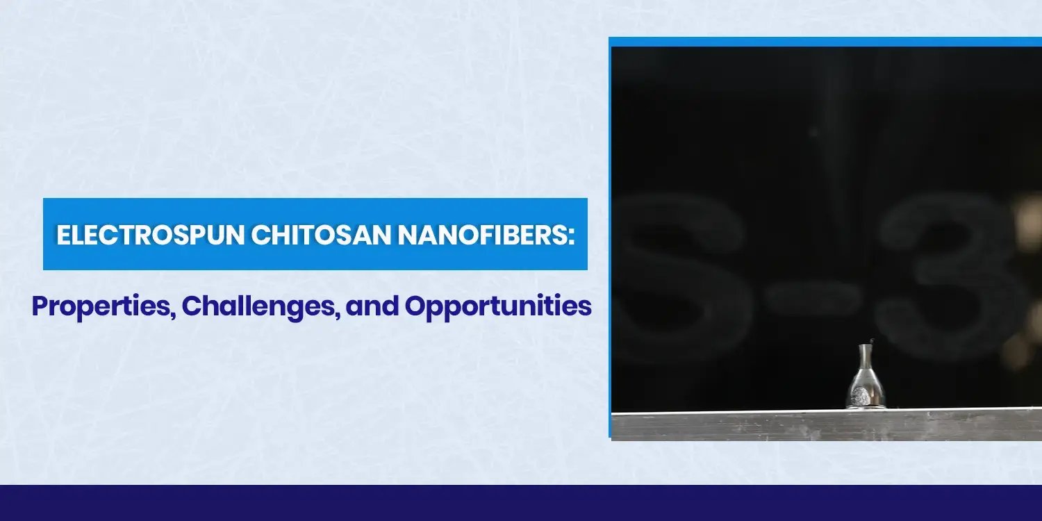 Electrospun Chitosan Nanofibers