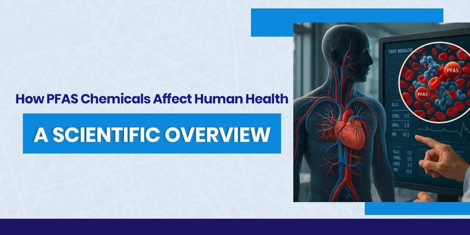 PFAS Chemicals Affect Human Health