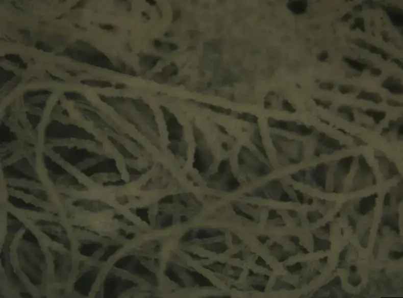 Beyond PFAS: Why Oleophobic Coatings for Filter Media Need a Better Deposition Method