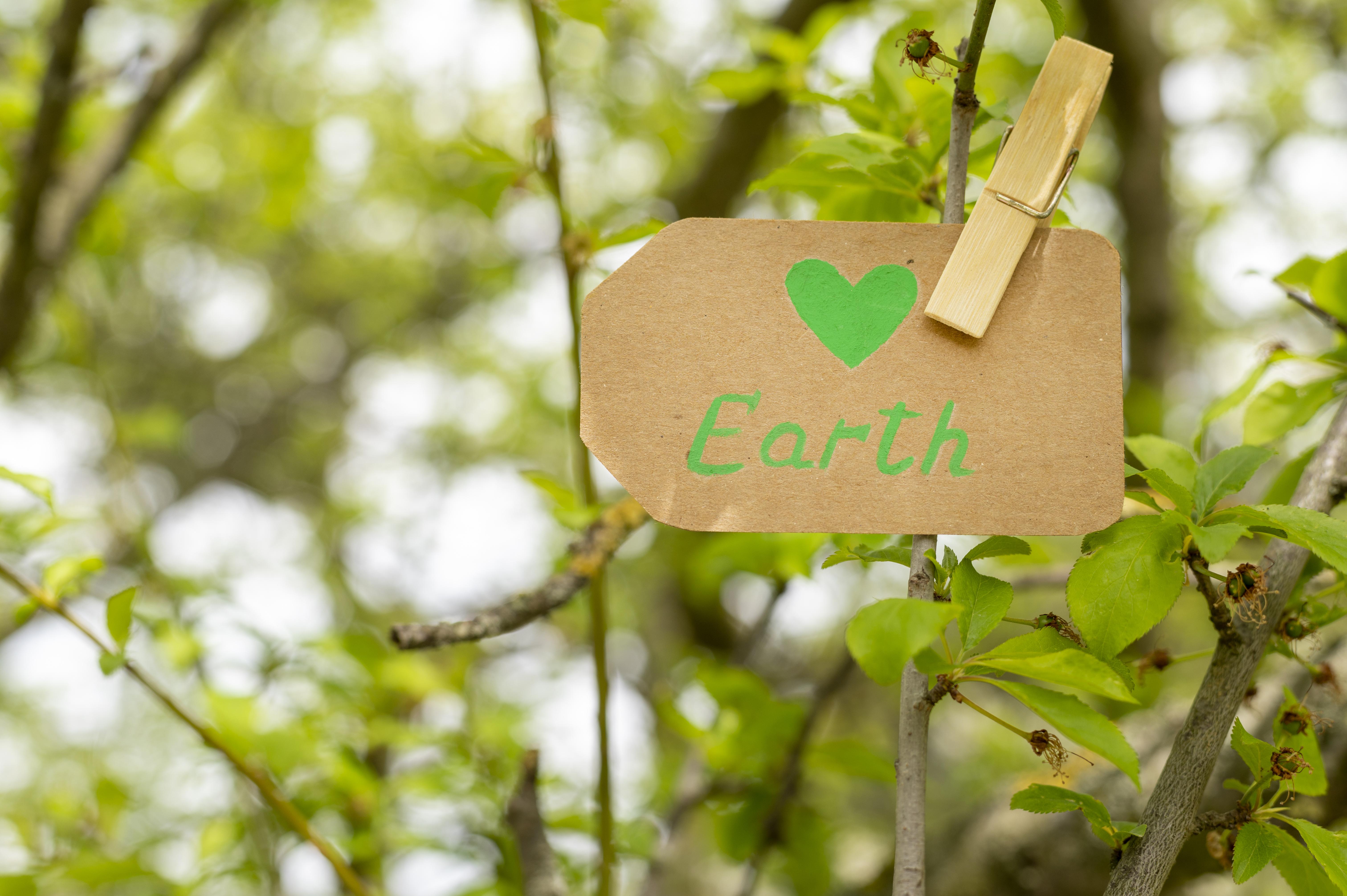The Sustainability of Nanofiber Materials: Innovation and Impact